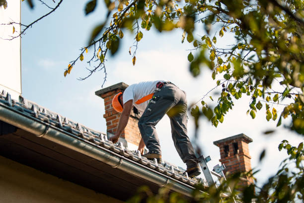 Best Roof Restoration Services  in Mcswain, CA