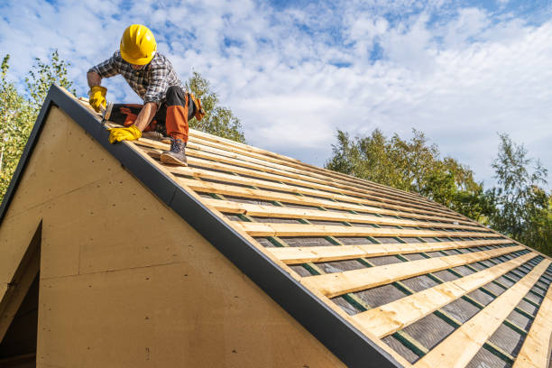 Best Roof Gutter Cleaning  in Mcswain, CA