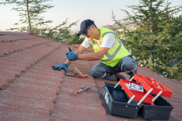 Best Local Roofing Companies  in Mcswain, CA